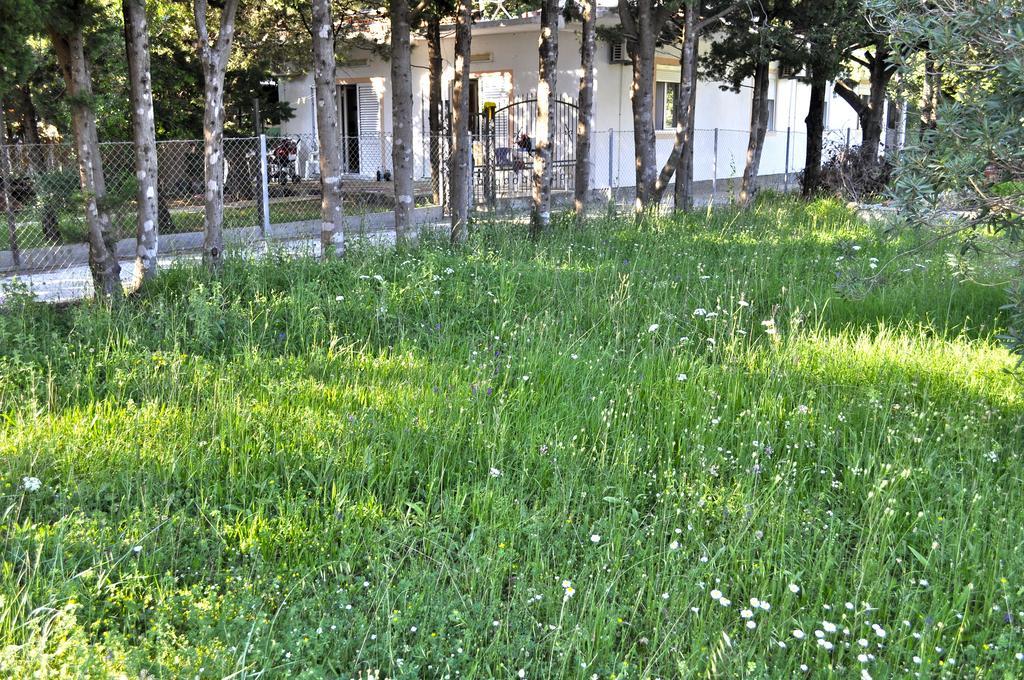 Vila Branka Čanj Exterior foto